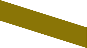 Vector